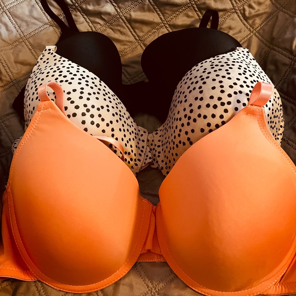Kmart brand new size 36C bras